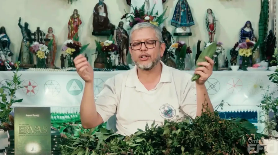 Curso Rituais com ervas